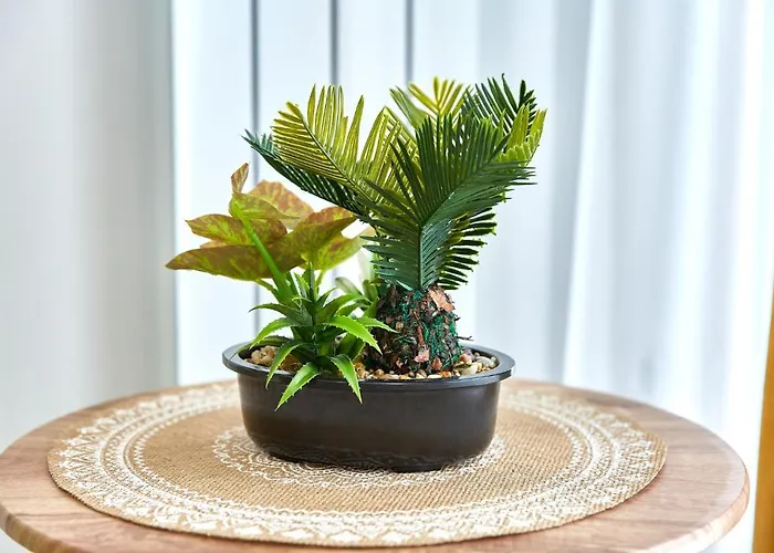 Mng 3 Tomis Promenada 아파트 Năvodari