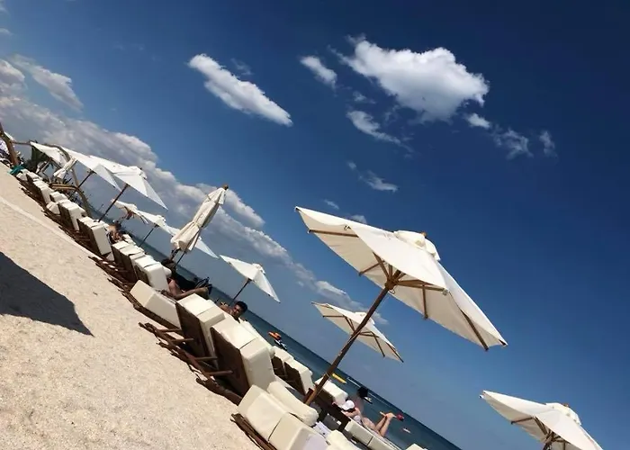 Mng 3 Tomis Promenada *