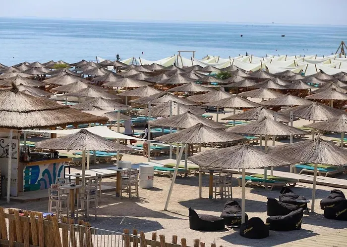 Mng 3 Tomis Promenada Năvodari